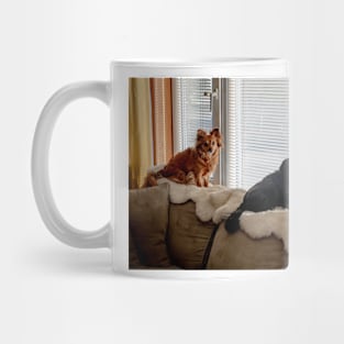 Pets at the Window Mug